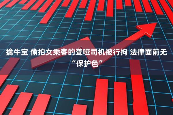 擒牛宝 偷拍女乘客的聋哑司机被行拘 法律面前无“保护色”