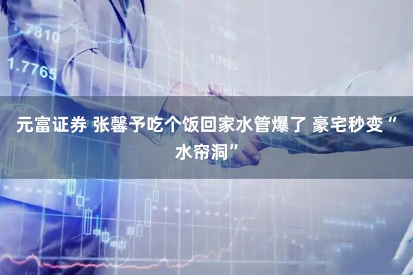 元富证券 张馨予吃个饭回家水管爆了 豪宅秒变“水帘洞”