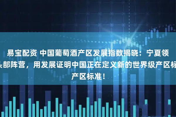 易宝配资 中国葡萄酒产区发展指数揭晓：宁夏领衔头部阵营，用发展证明中国正在定义新的世界级产区标准！