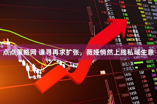 点点策略网 谦寻再求扩张，薇娅悄然上线私域生意