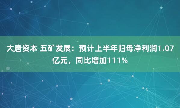 大唐资本 五矿发展：预计上半年归母净利润1.07亿元，同比增加111%